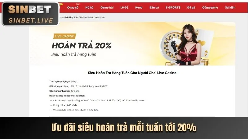 Các chương trình khuyến mãi và tiền thưởng độc quyền tại 365bet